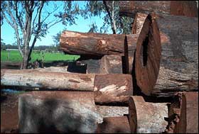 Timber Jarrow Dannys Timber Supplies - Jarrah | jarrah decking | jarrah posts ...